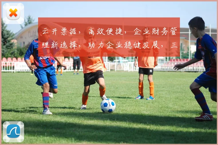 云开票据，高效便捷，企业财务管理新选择，助力企业稳健发展，三步轻松实现。
